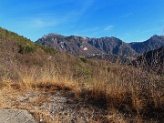15 Prima vista in Alben